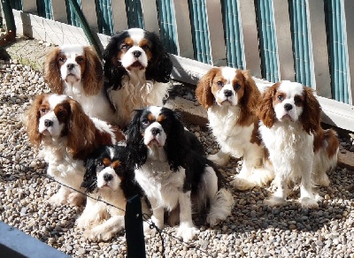 de la Vallée d'Alina - PHOTO de famille.