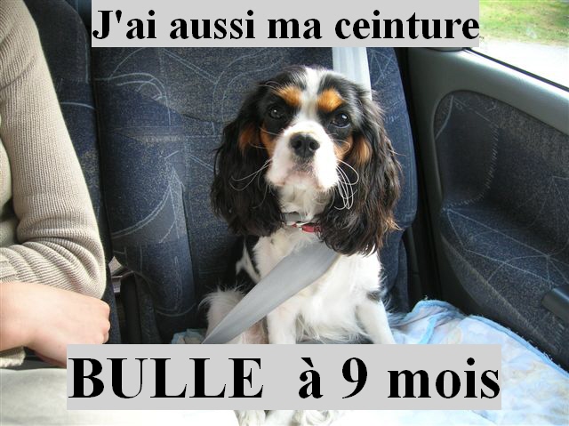 Bulle de la Vallée d'Alina