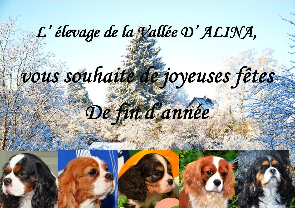 L'année 2025 se termine