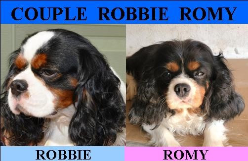 ROMY / ROBBIE
