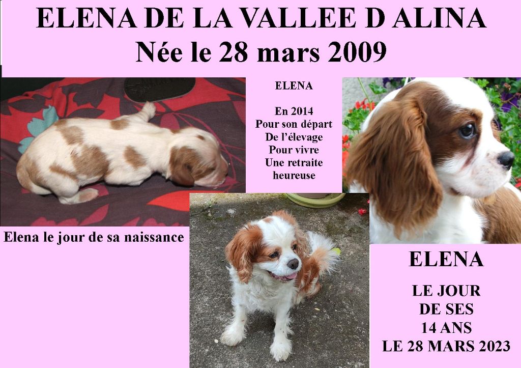 de la Vallée d'Alina - ELENA de la Vallée D' ALINA