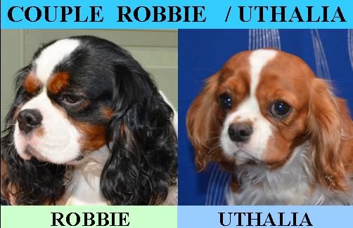 UTHALIA  / ROBBIE