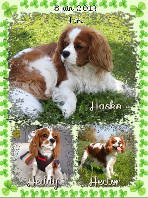 de la Vallée d'Alina - HASKO HEDDY HECTOR